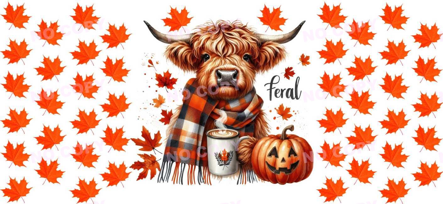 Y13797-Highland Cow