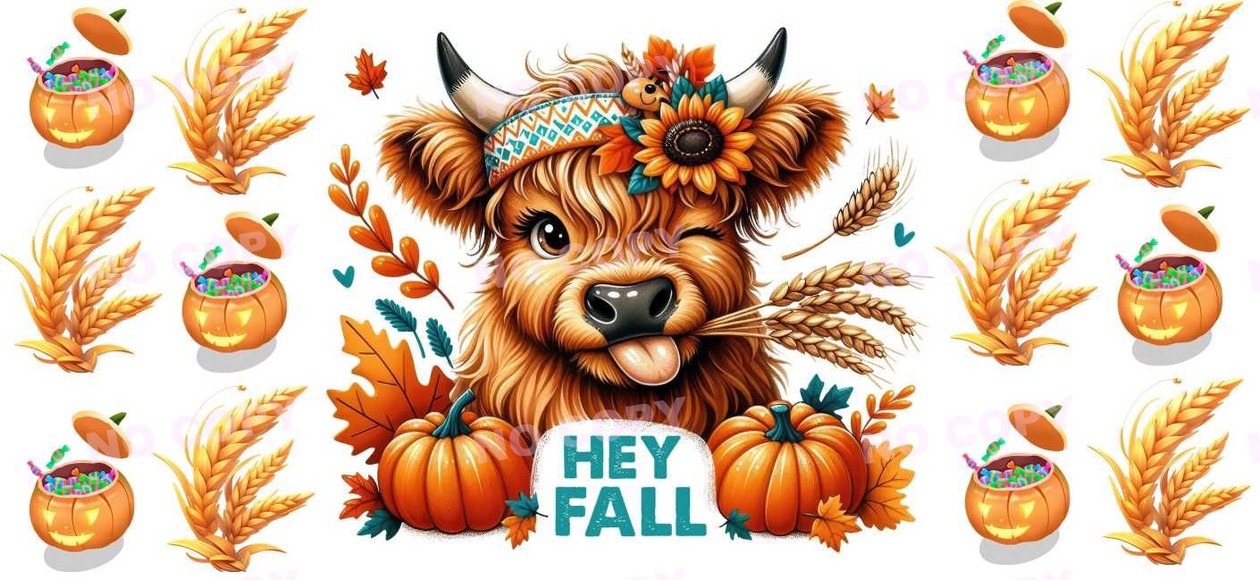 Y13802-Highland Cow