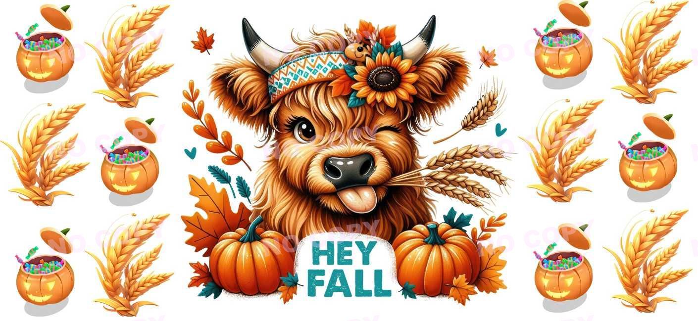 Y13802-Highland Cow
