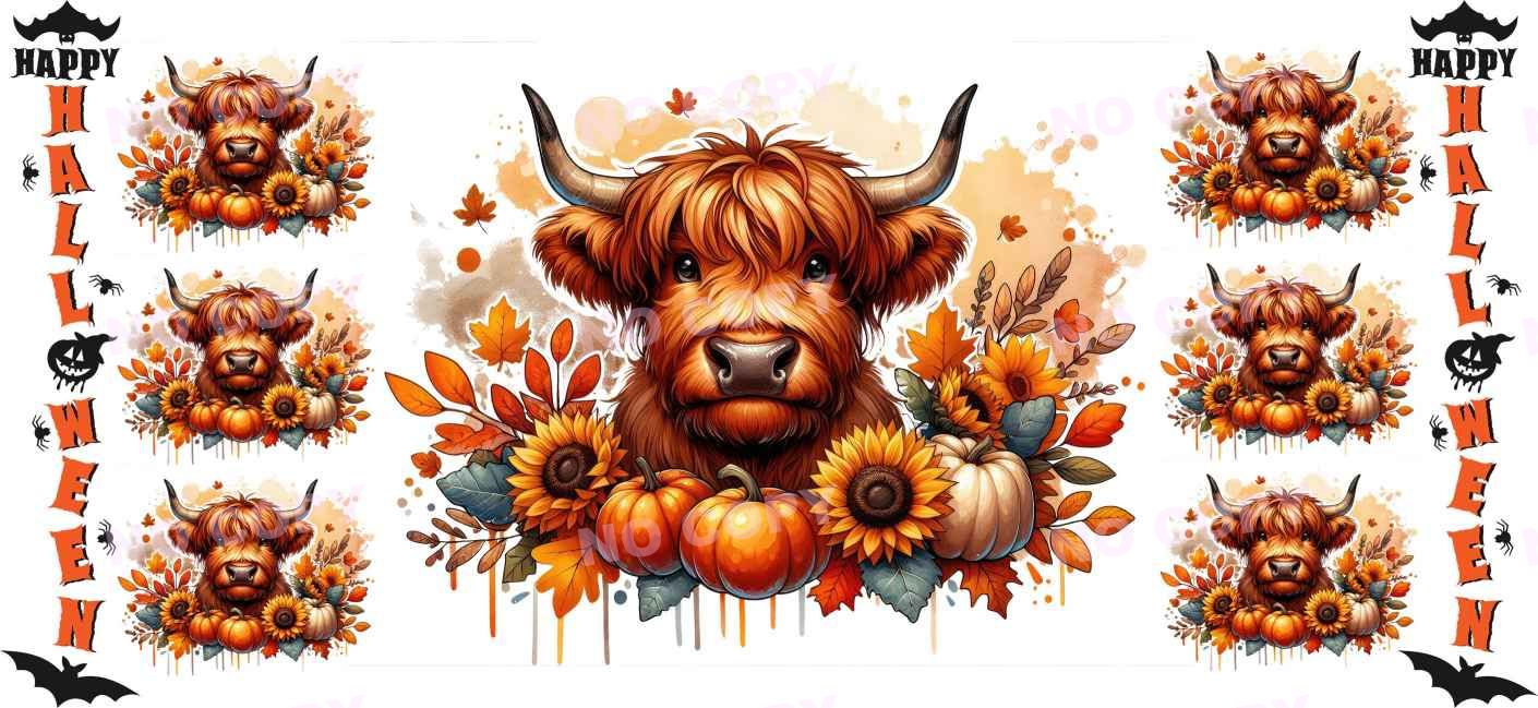 Y13804-Highland Cow