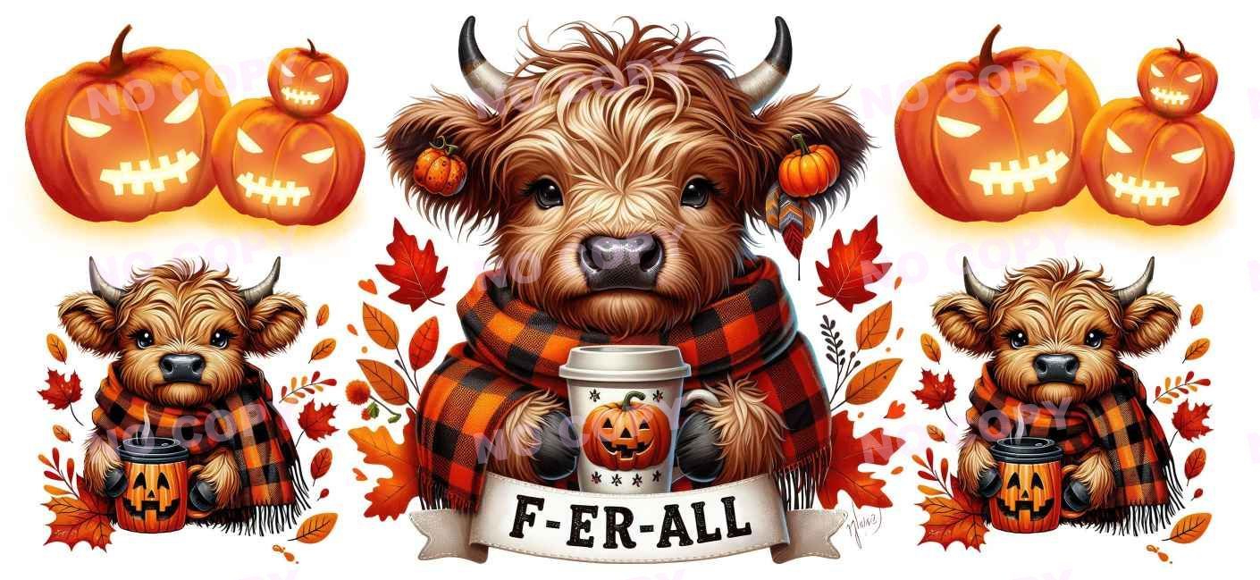 Y13806-Highland Cow