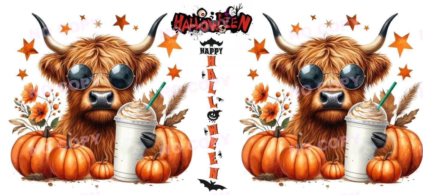 Y13833-Highland Cow