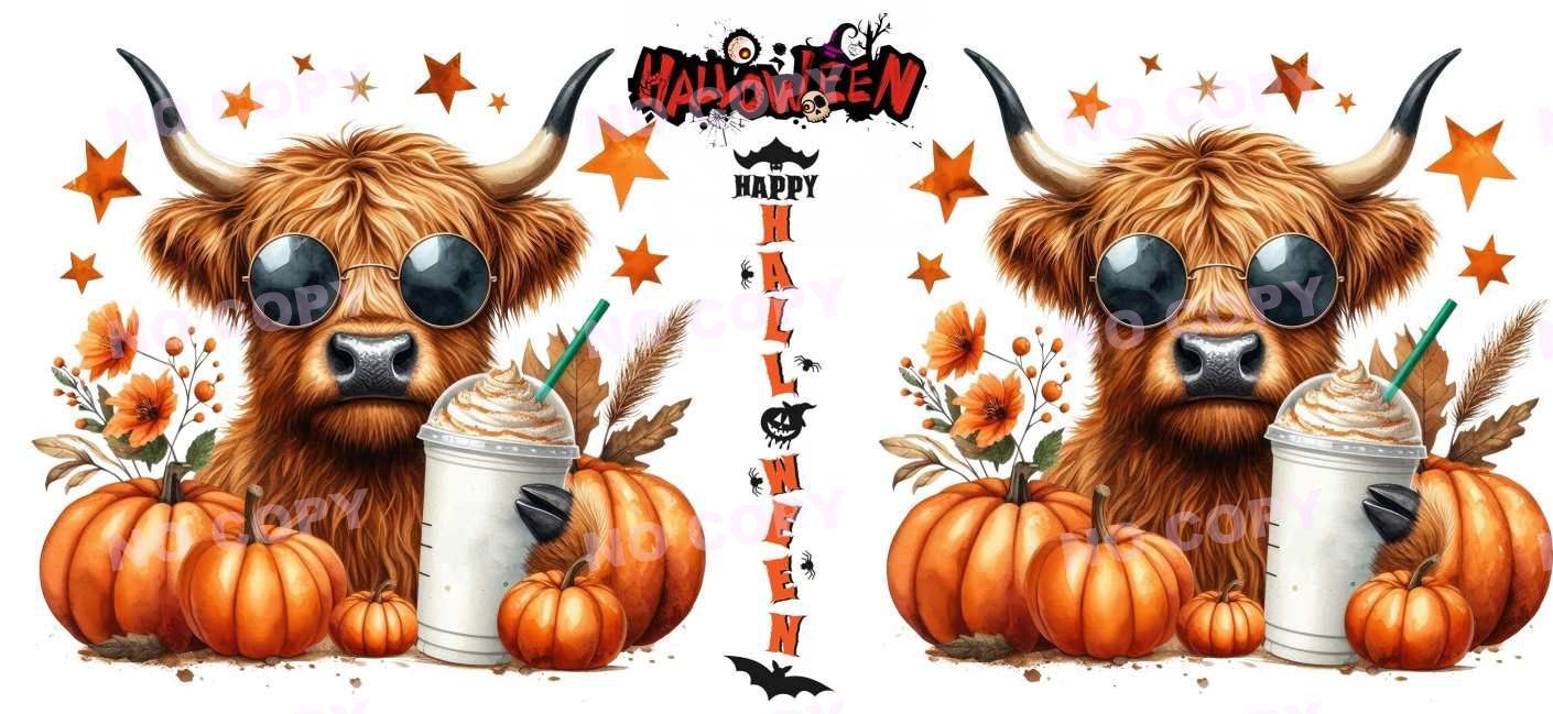 Y13833-Highland Cow