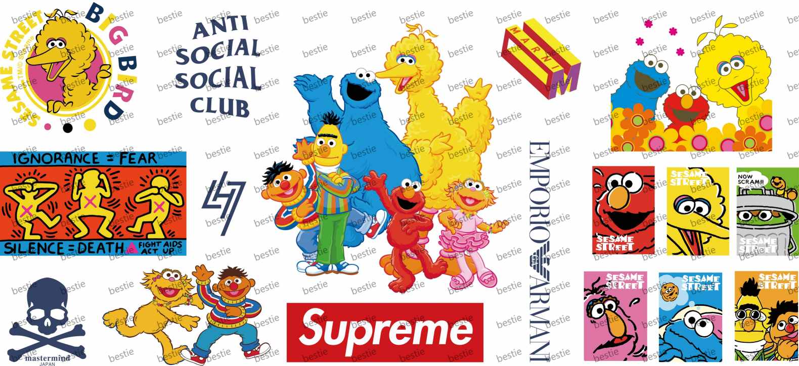 Y13891-1-Sesame Street
