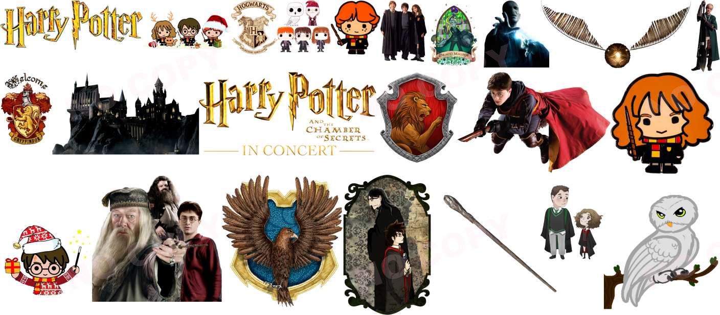 Y14240-Harry Potter