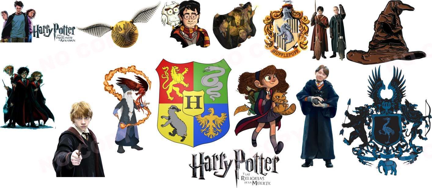Y14244-Harry Potter