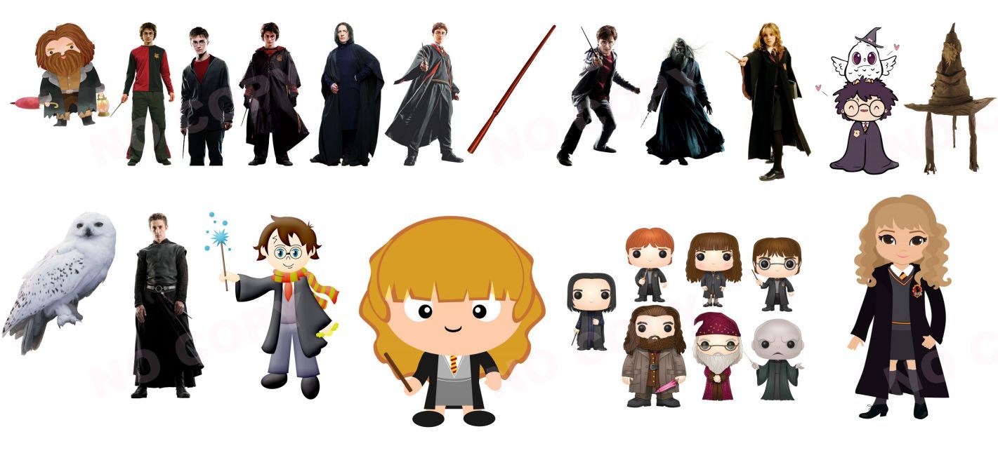 Y14248-Harry Potter