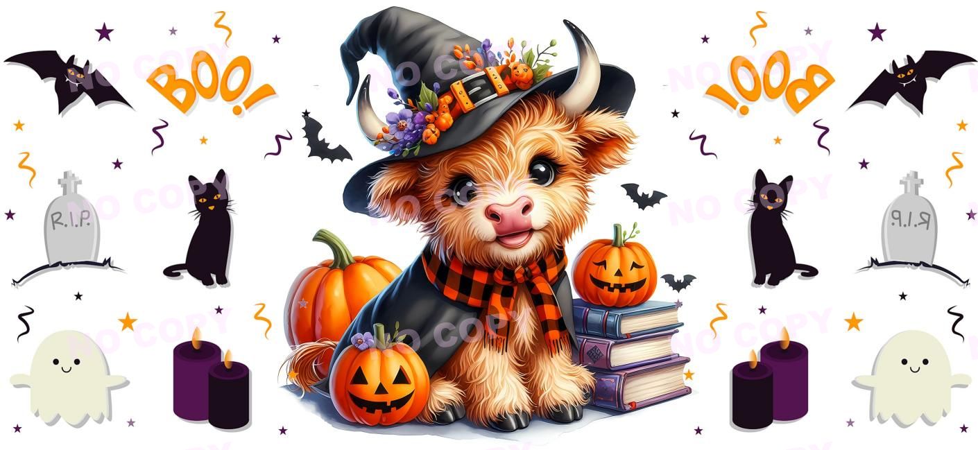 Y15606-Highland Cow