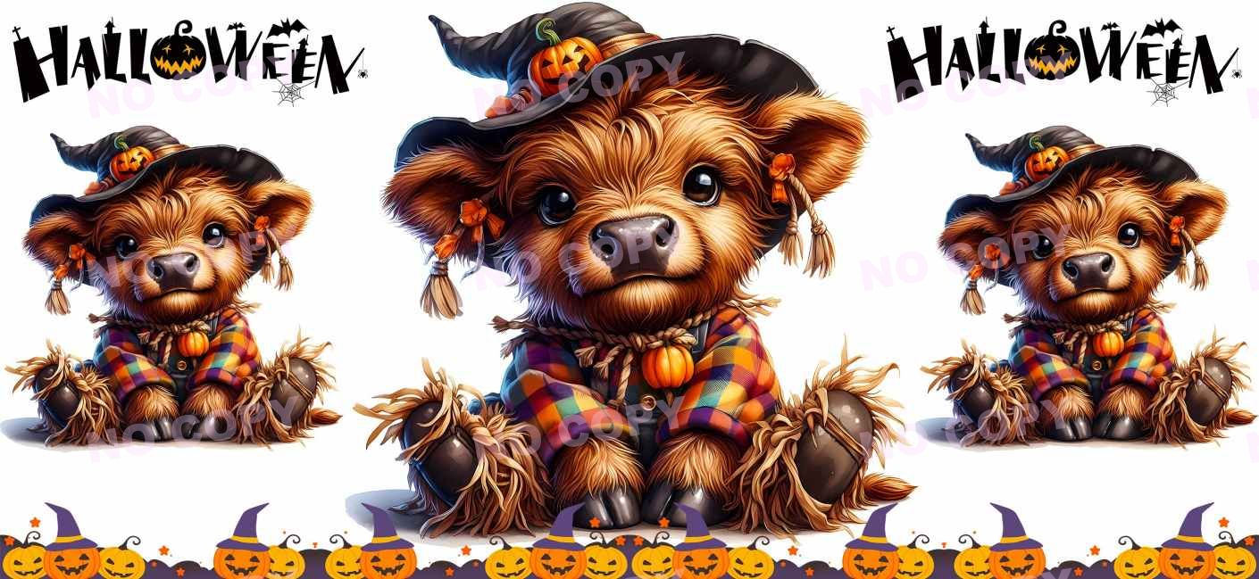 Y15620-Highland Cow