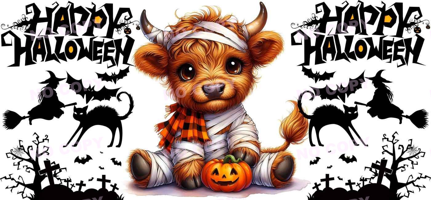 Y15625-Highland Cow