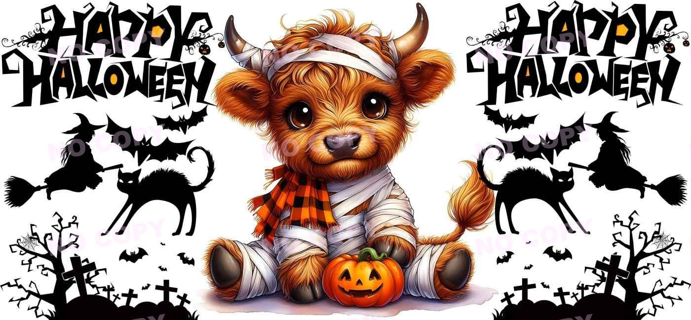 Y15625-Highland Cow