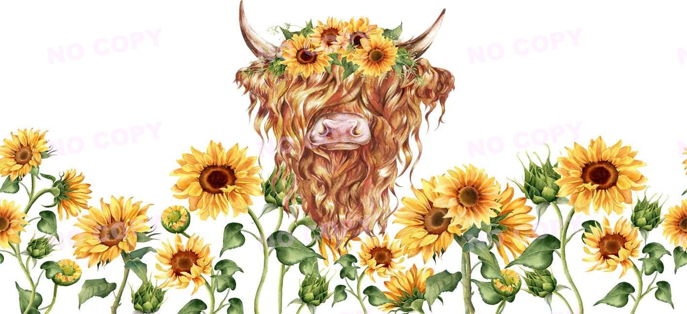 Y1563-Highland Cow