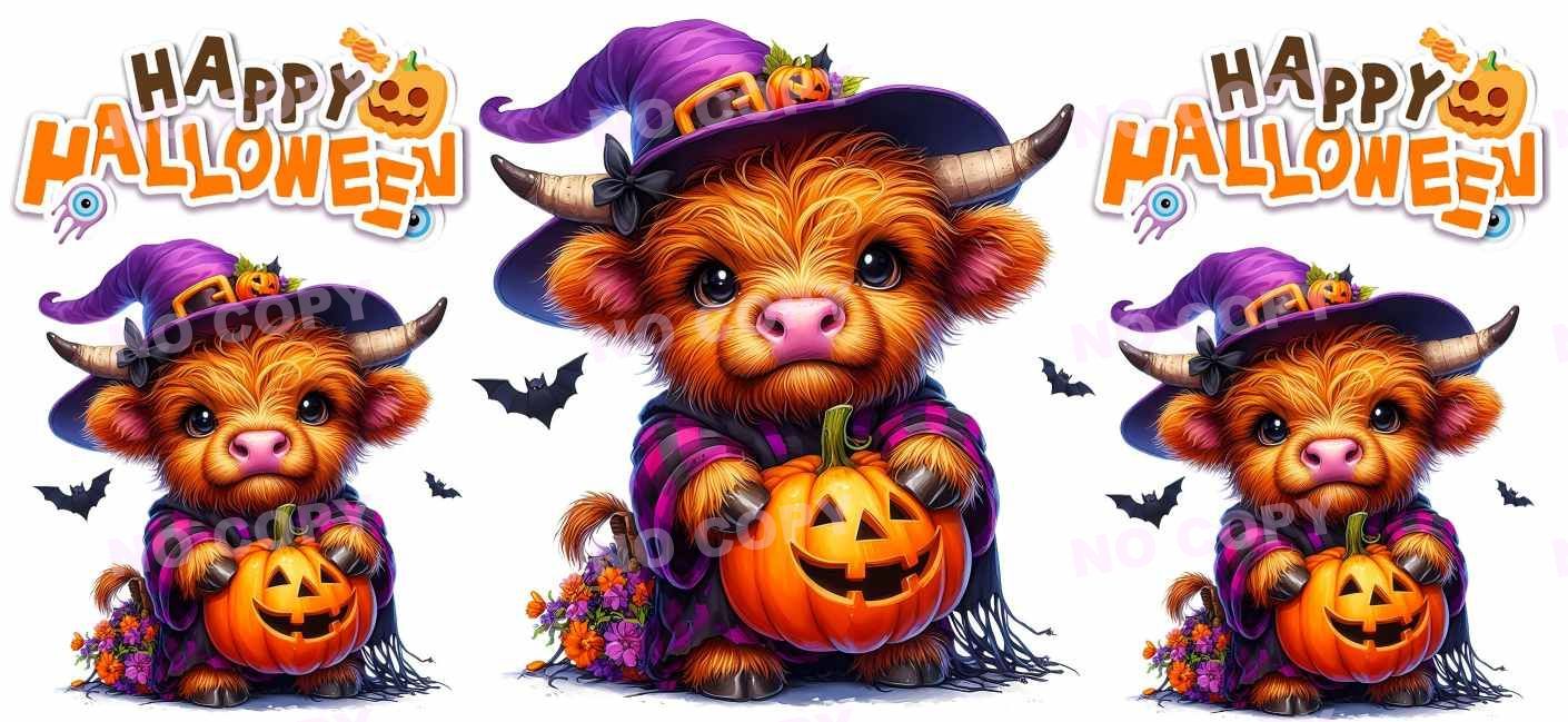Y15640-Highland Cow