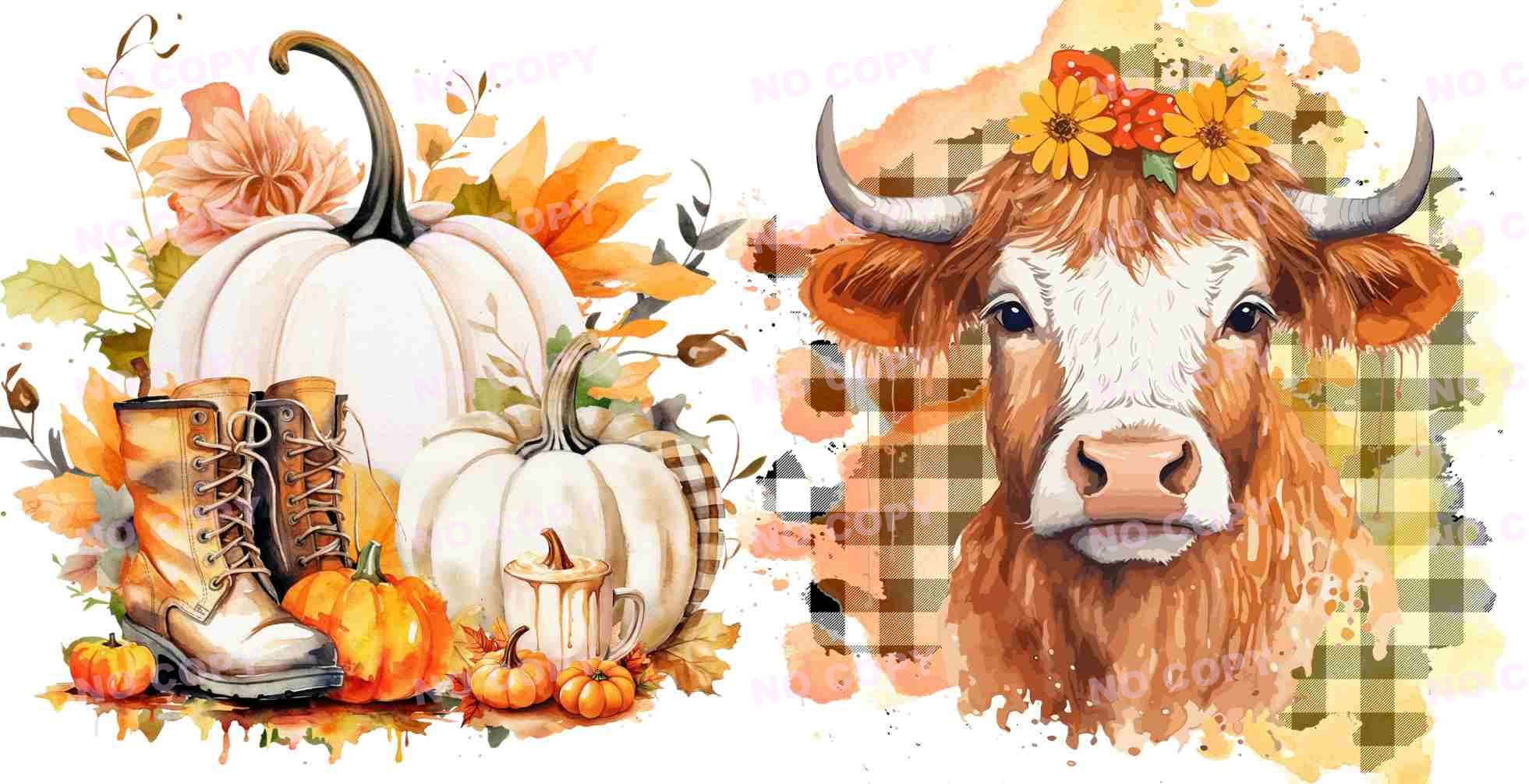 Y15914-Highland Cow