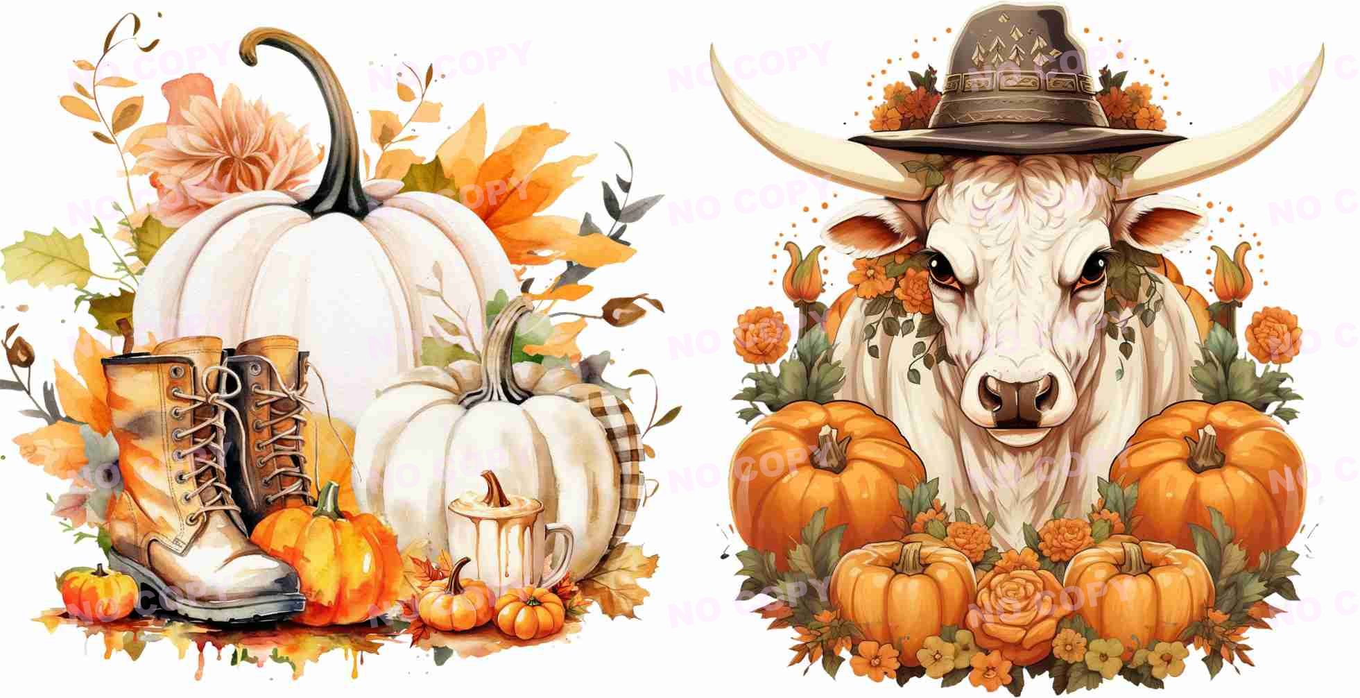 Y15955-Highland Cow