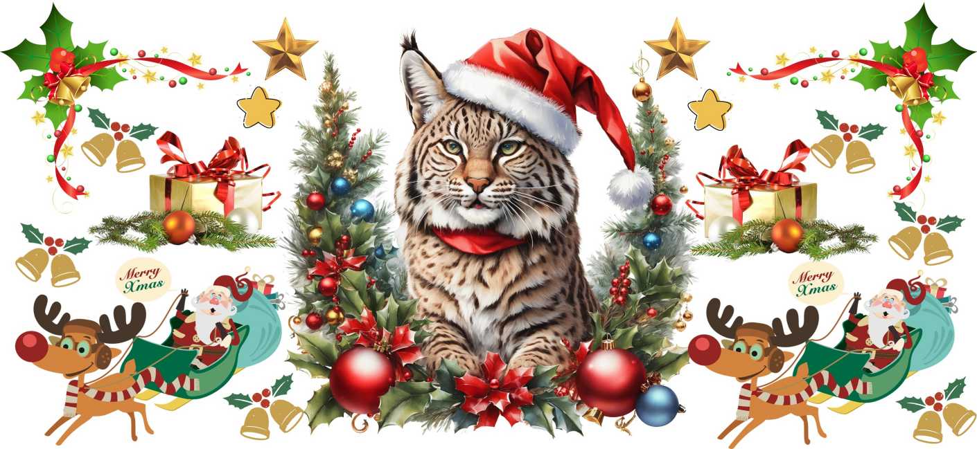 Y16006-Christmas