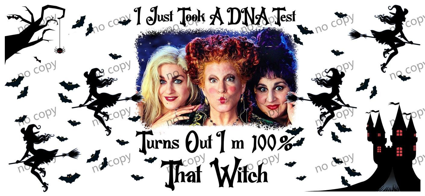 Y16064-Hocus pocus