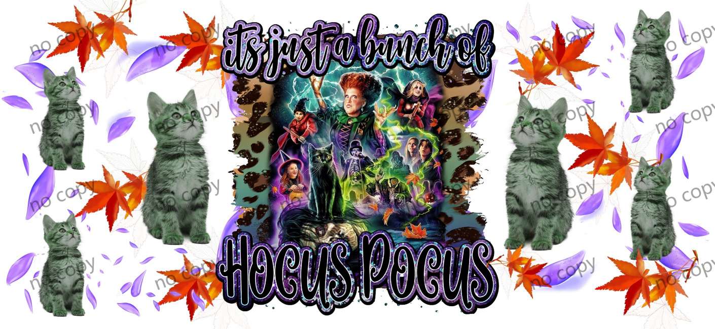 Y16076-Hocus pocus