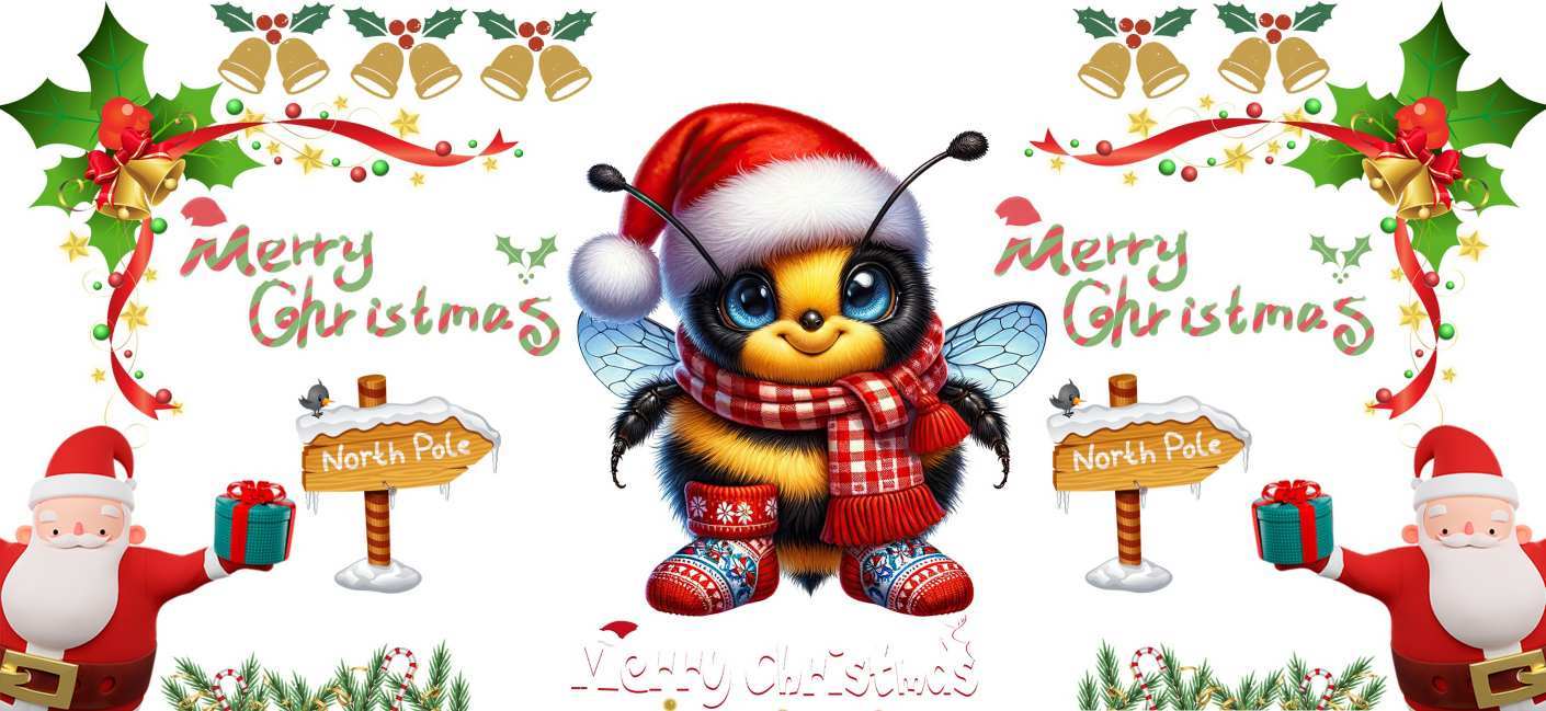 Y16095-Christmas