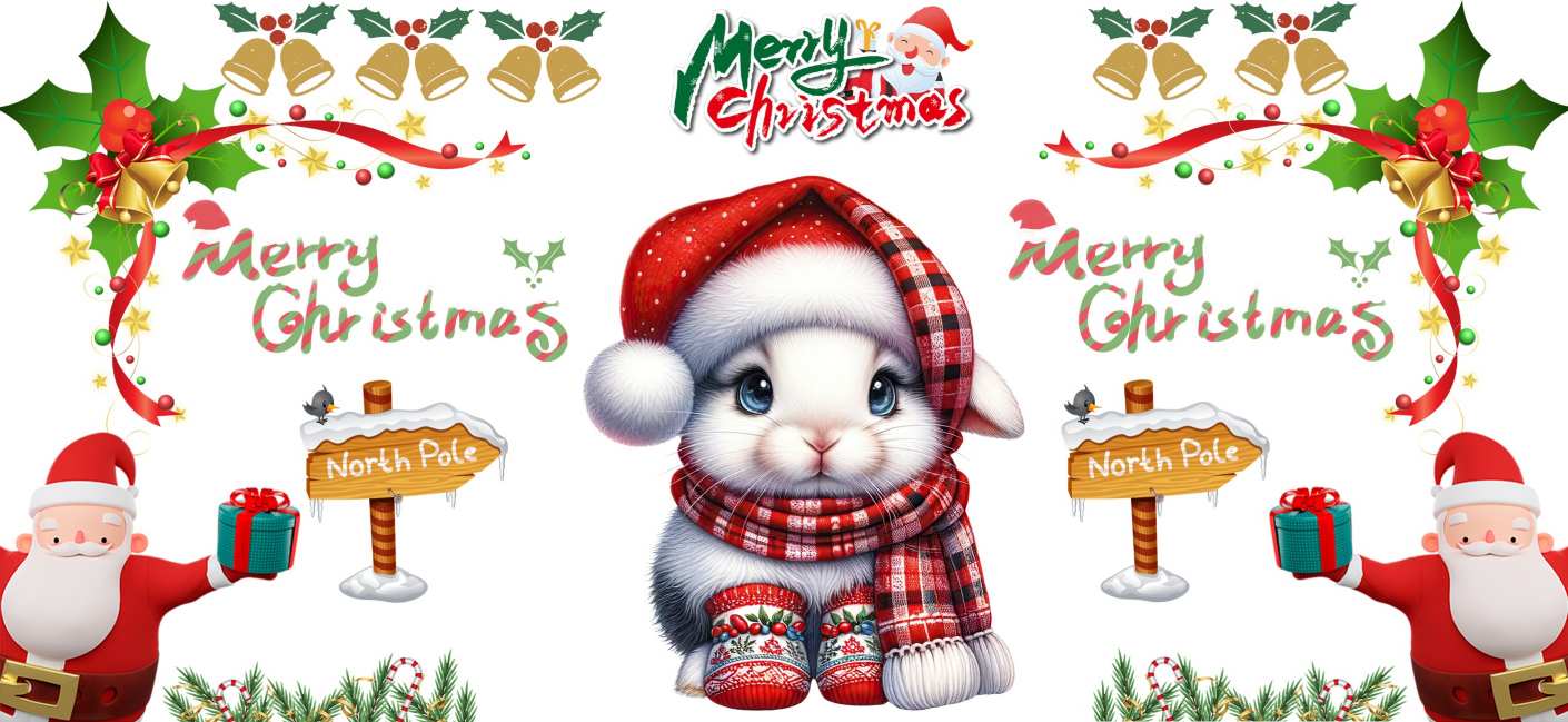 Y16097-Christmas