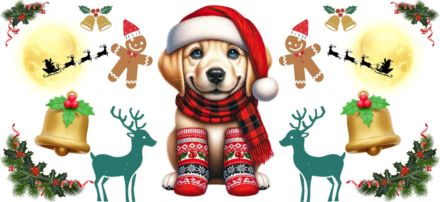Y16100-Christmas