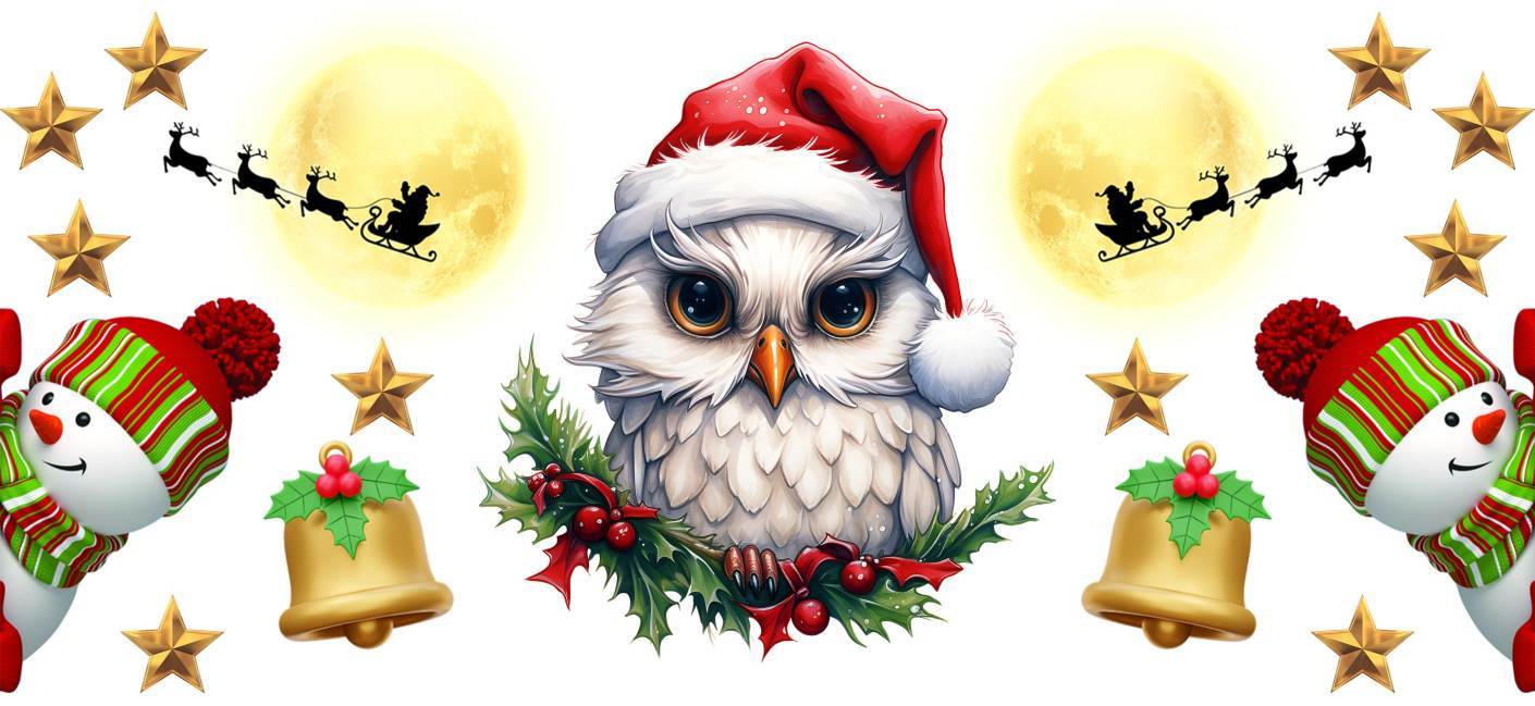 Y16109-Christmas