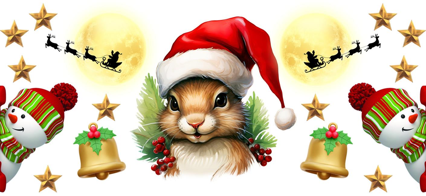 Y16110-Christmas