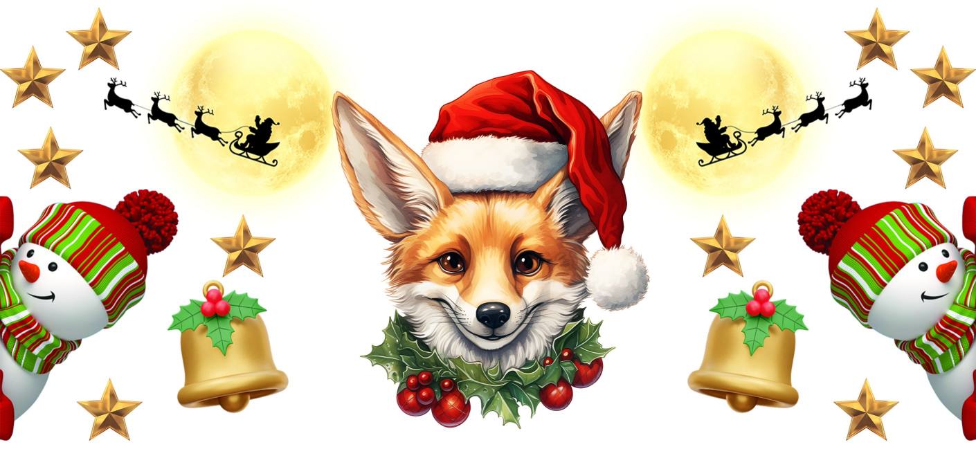 Y16111-Christmas