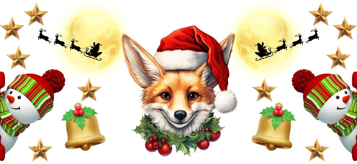 Y16111-Christmas
