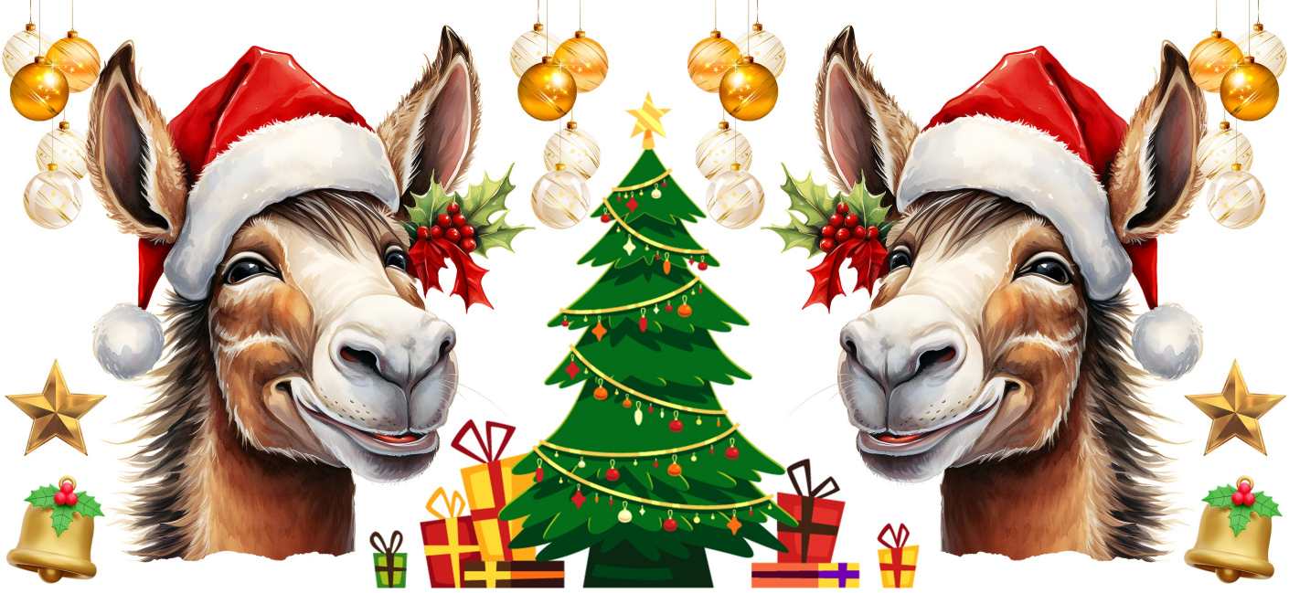 Y16119-Christmas