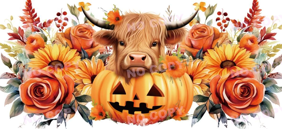 Y16202-Highland Cow