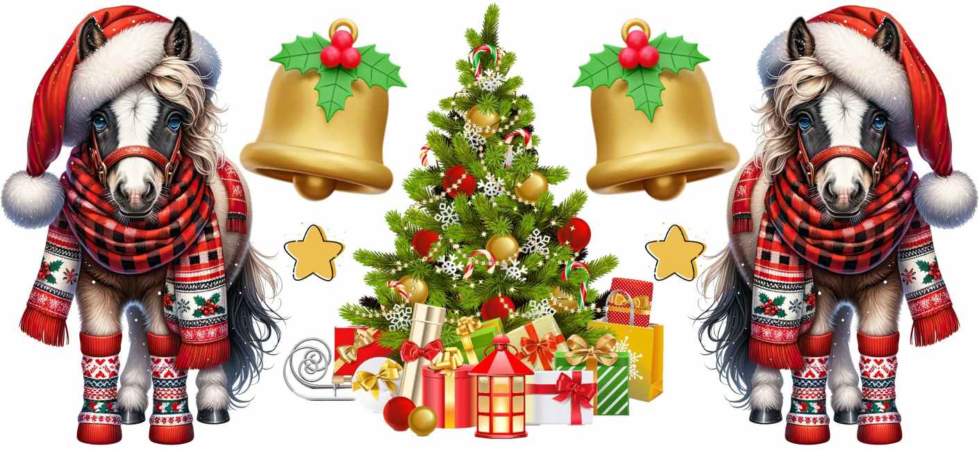 Y16263-Christmas