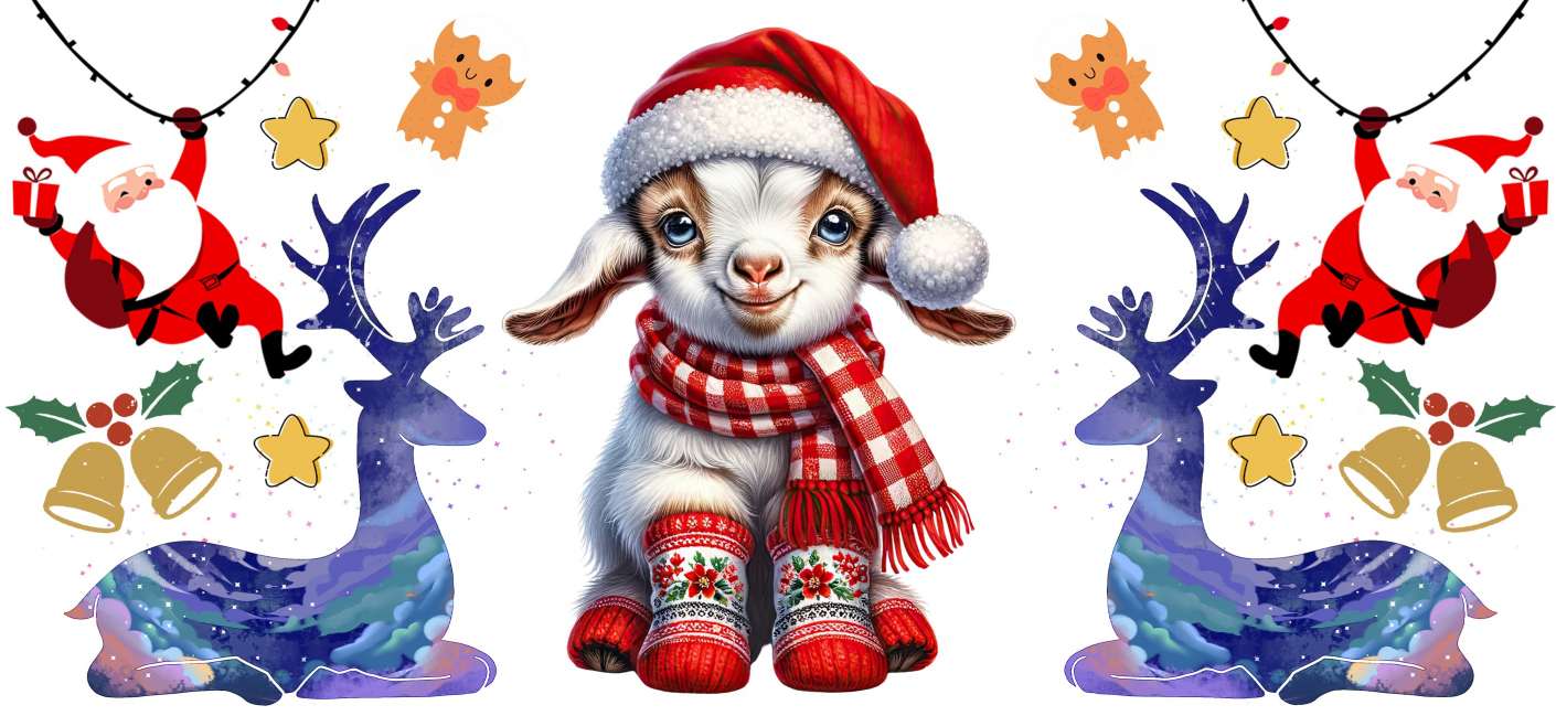 Y16265-Christmas