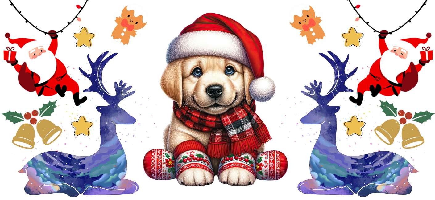 Y16267-Christmas