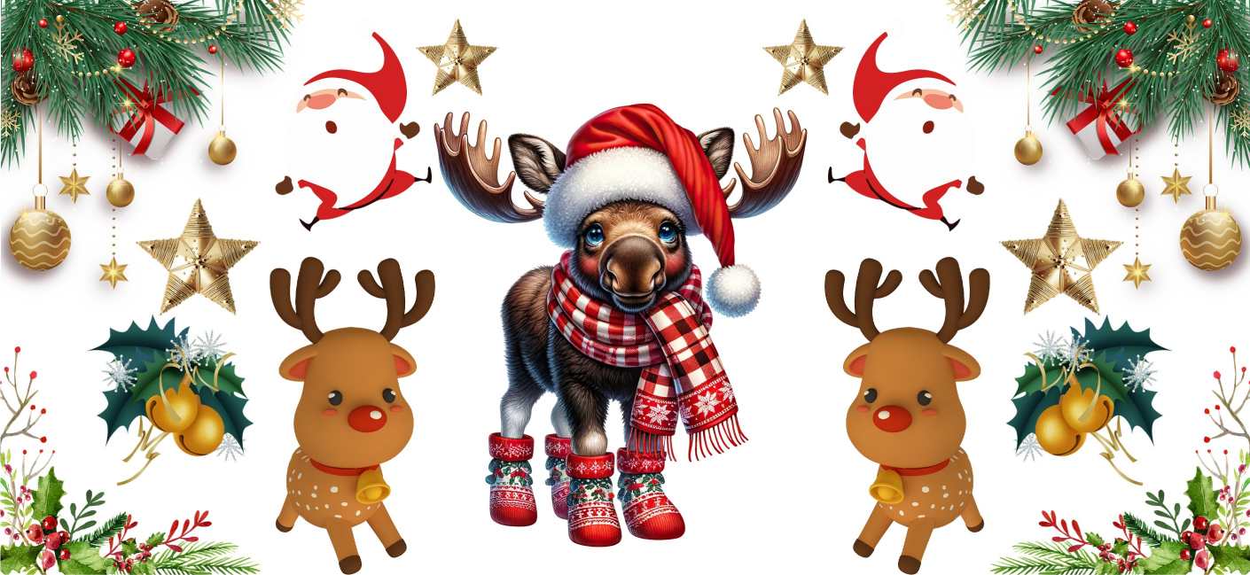 Y16271-Christmas
