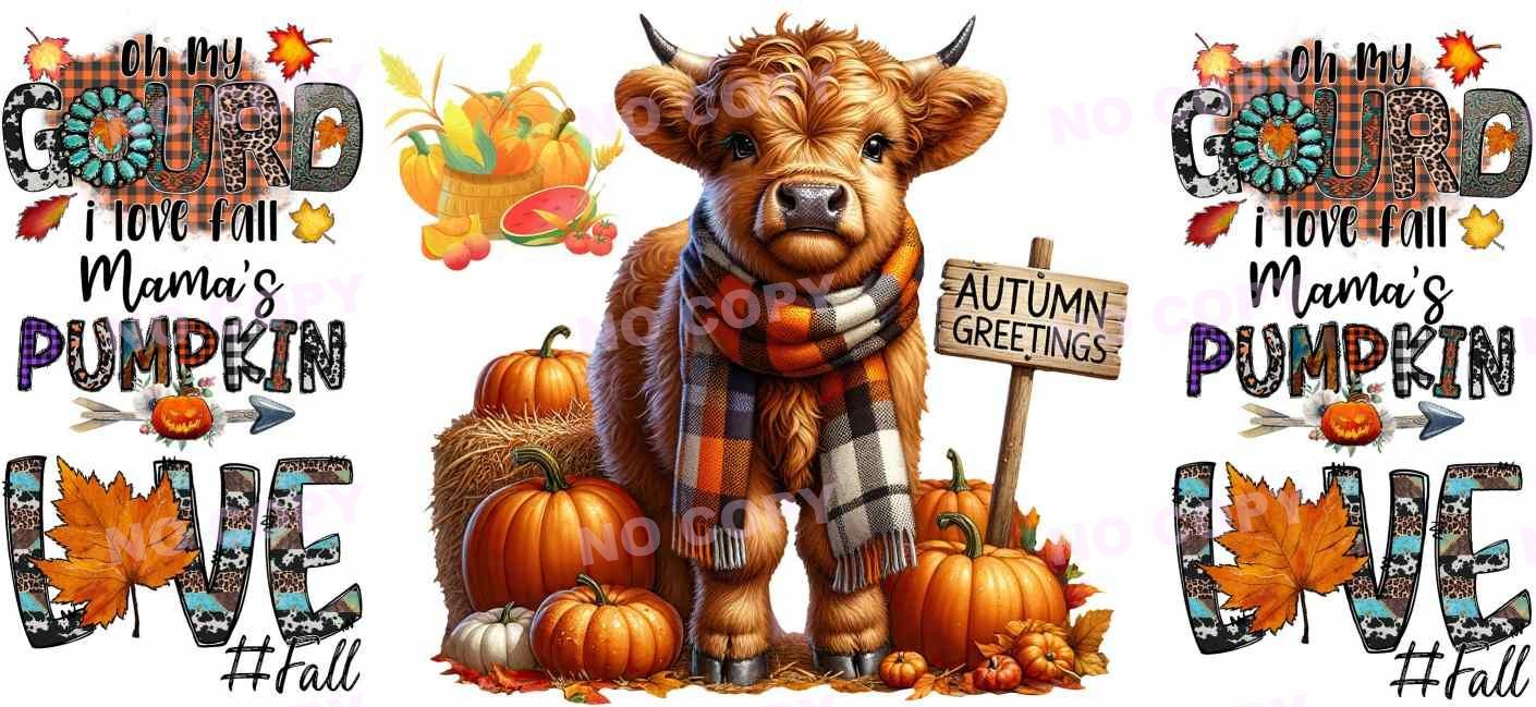 Y16545-Highland Cow