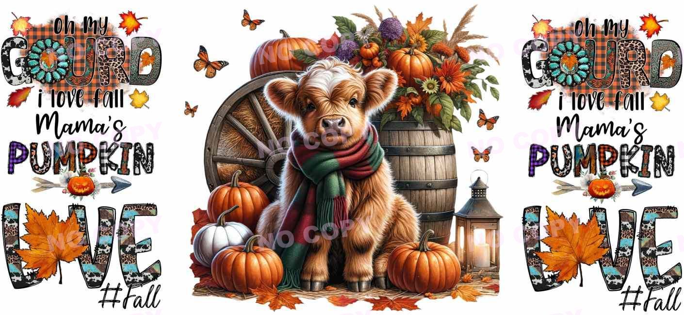 Y16546-Highland Cow
