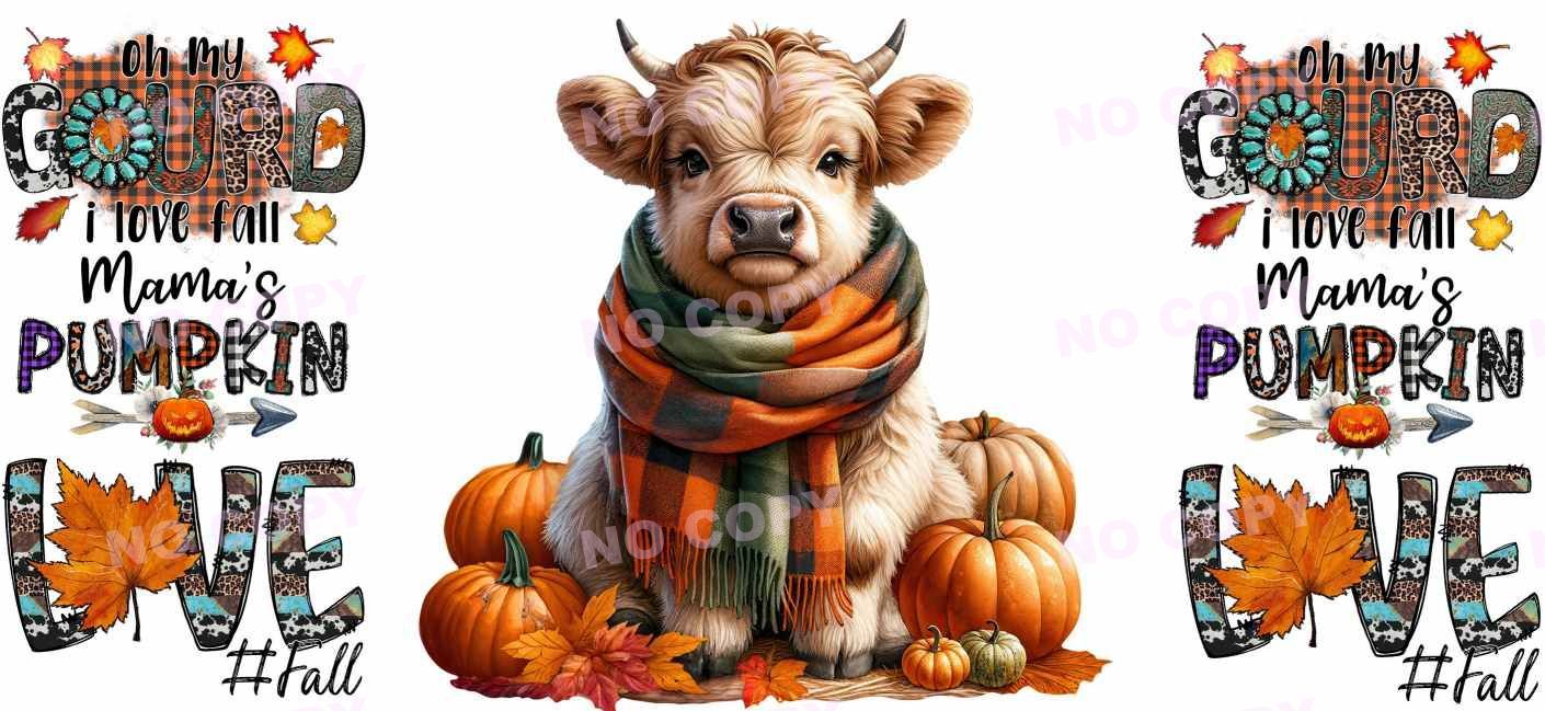 Y16547-Highland Cow