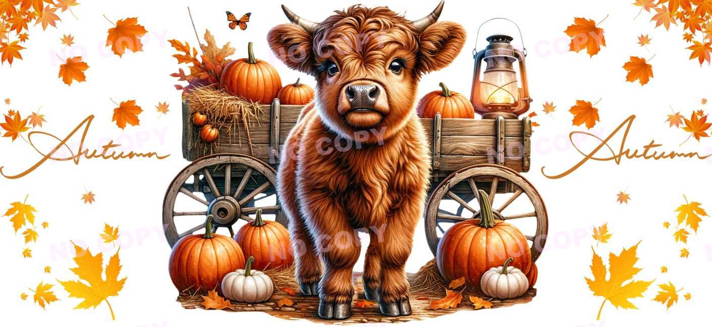 Y16548-Highland Cow