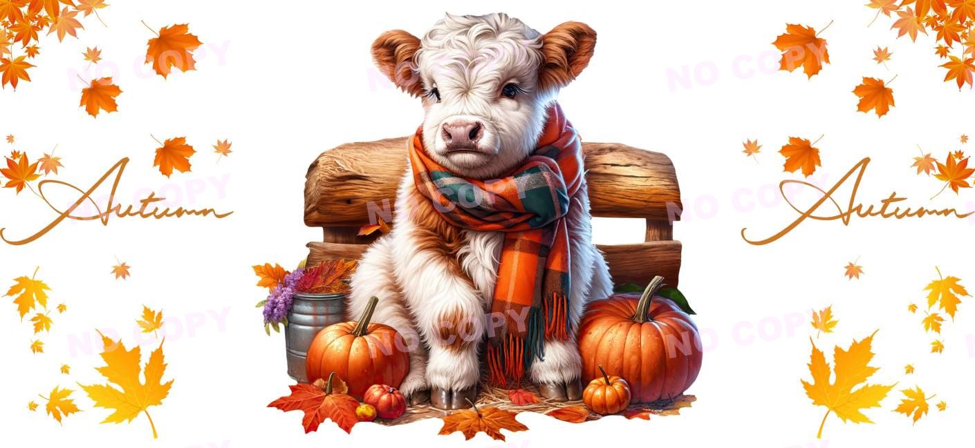 Y16549-Highland Cow