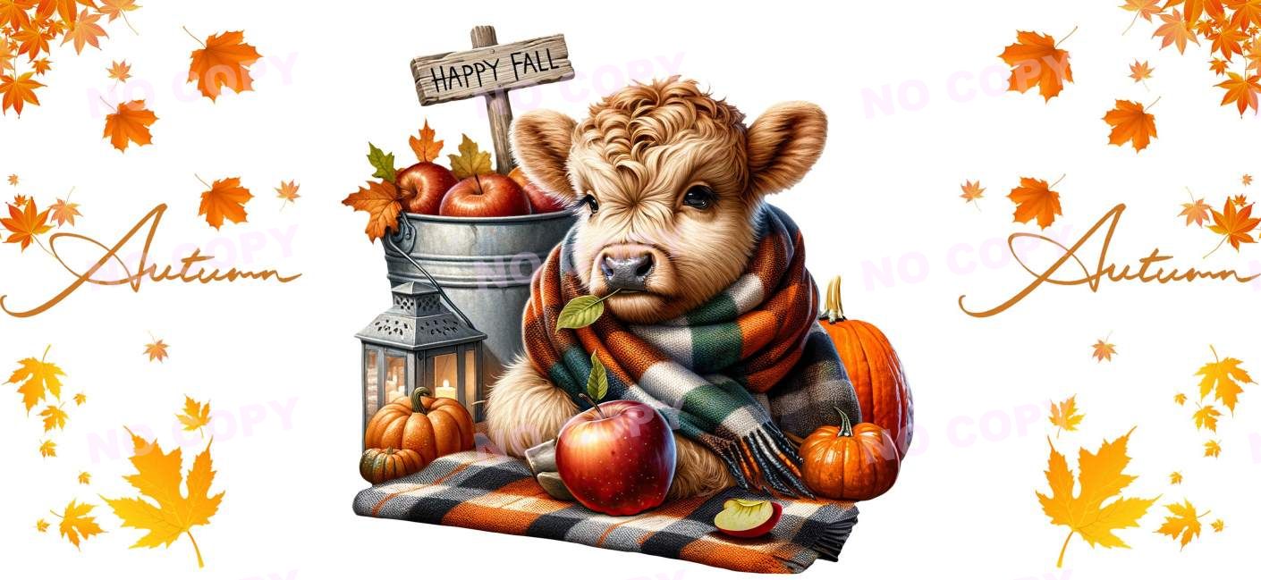 Y16551-Highland Cow