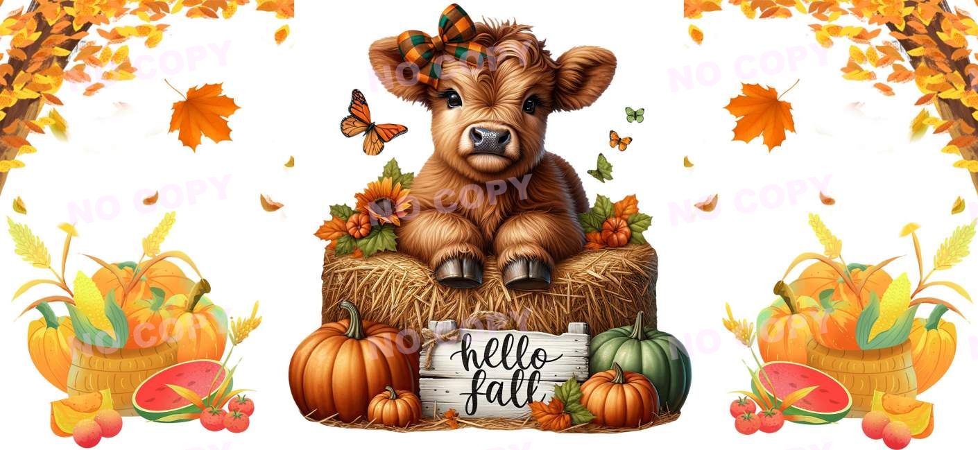Y16553-Highland Cow