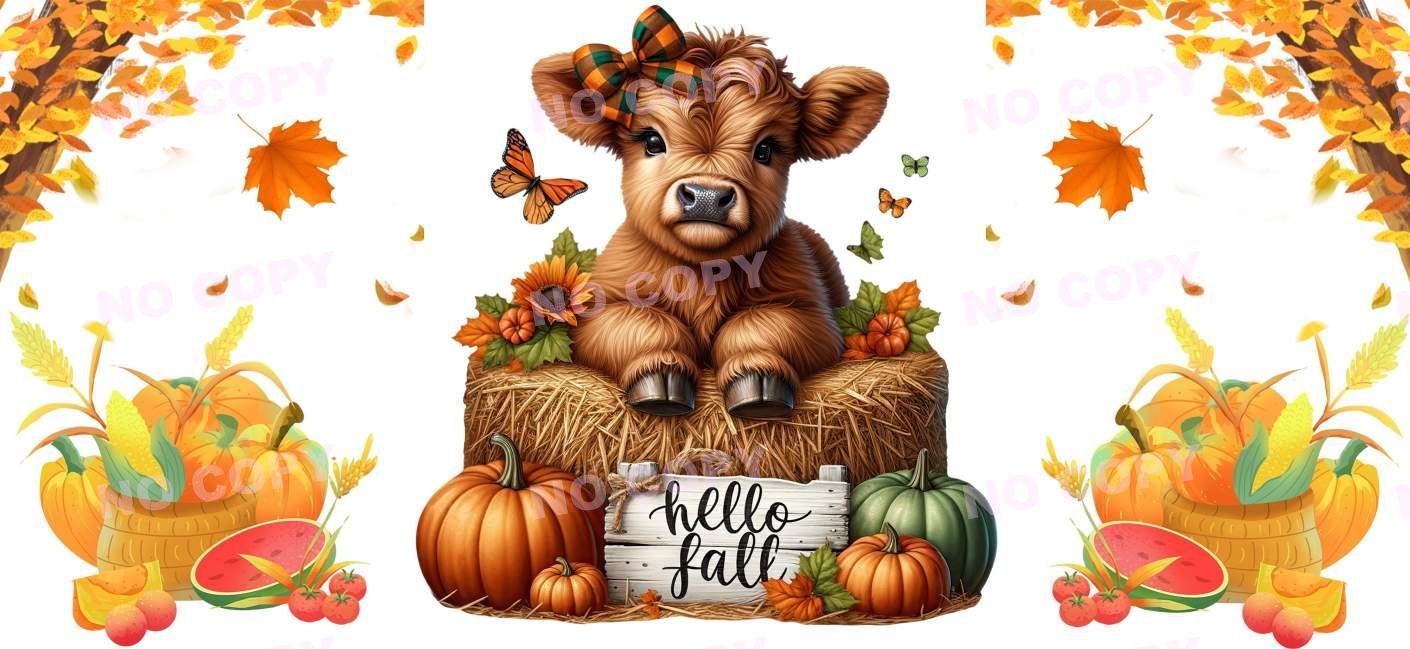 Y16553-Highland Cow