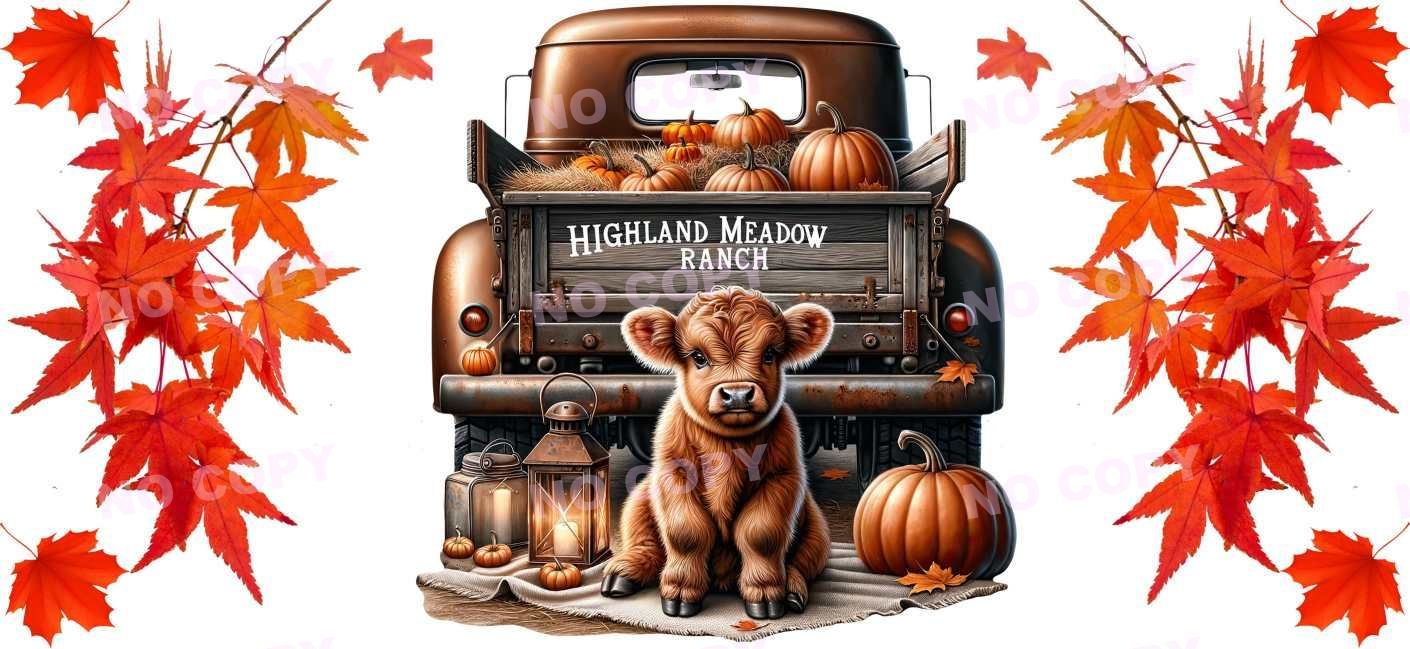 Y16560-Highland Cow