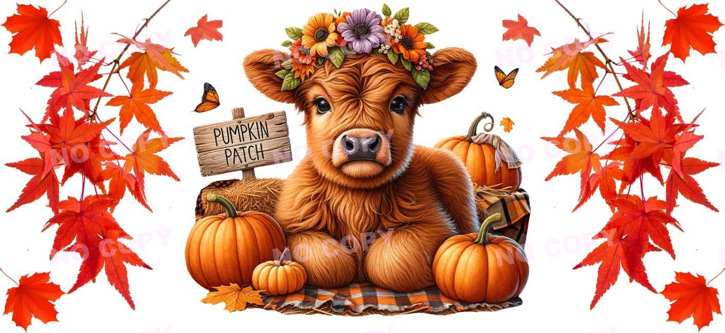 Y16561-Highland Cow
