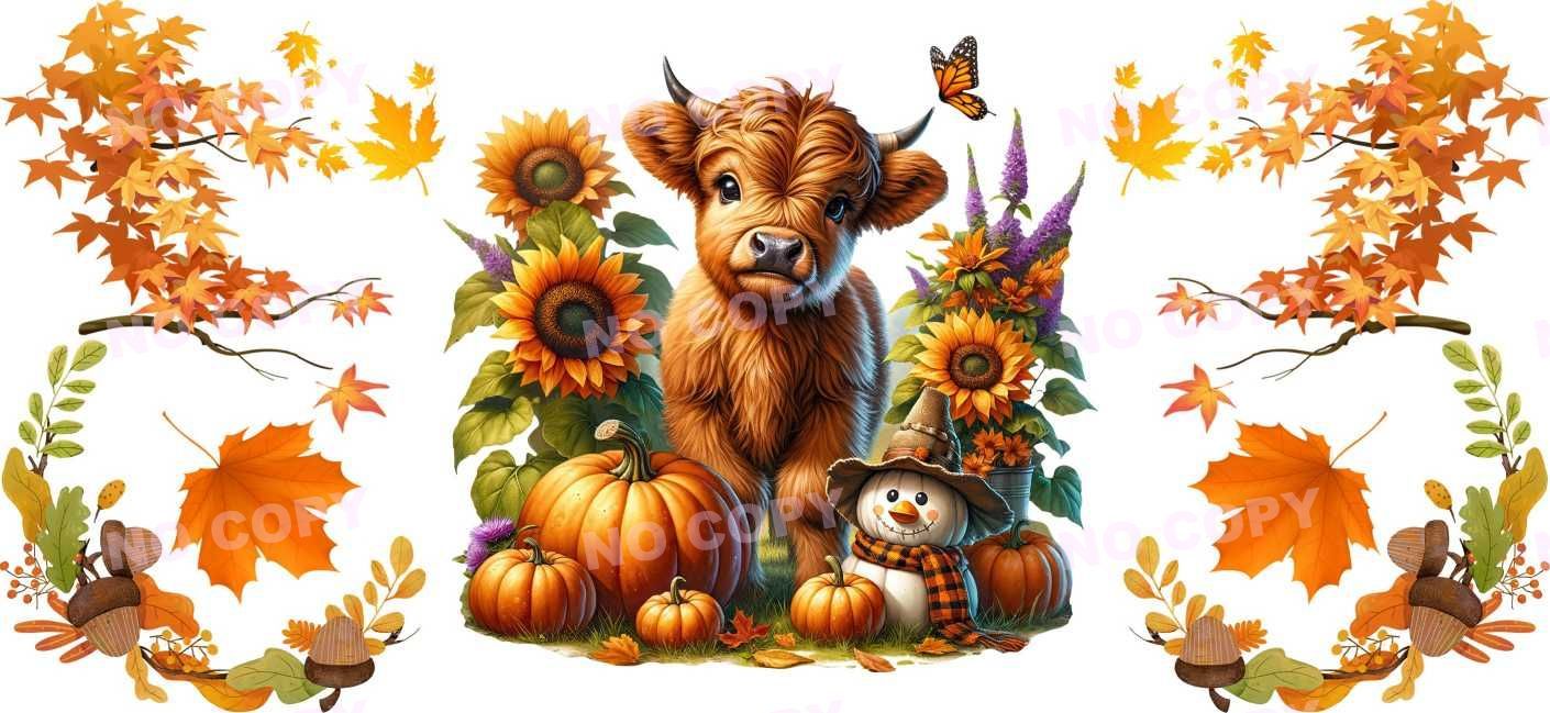 Y16563-Highland Cow