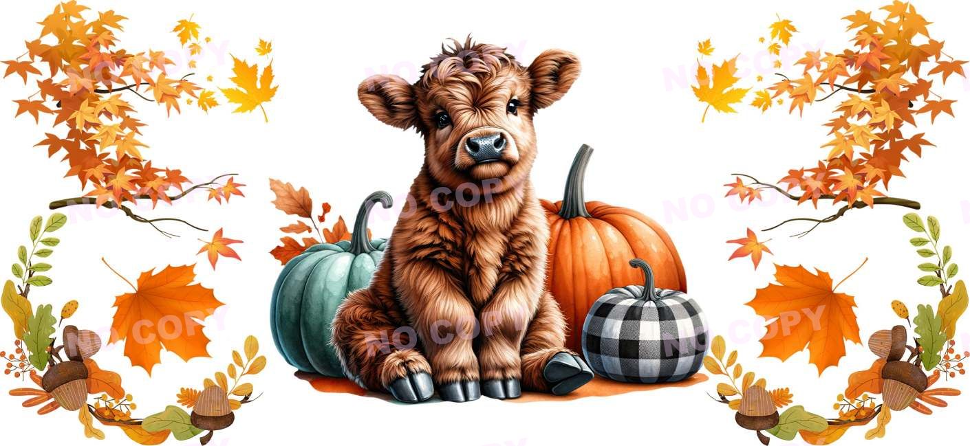 Y16564-Highland Cow