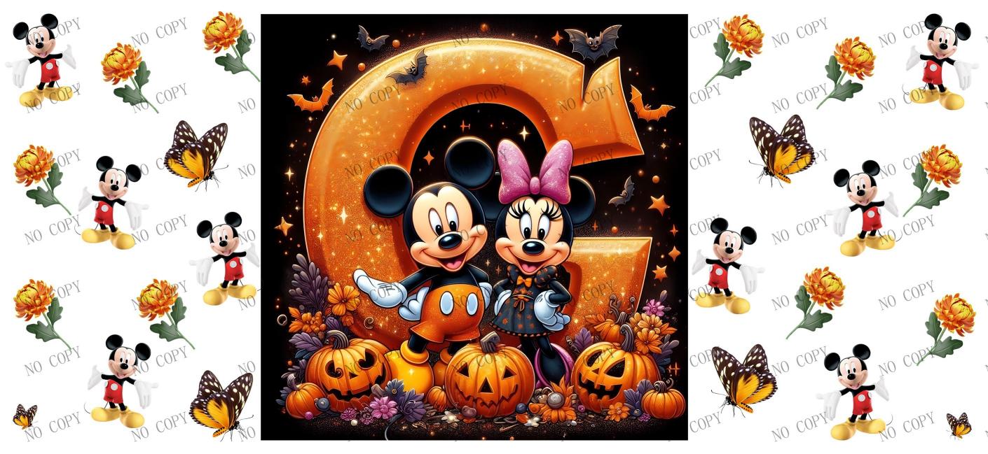 Y17445-1-Disney