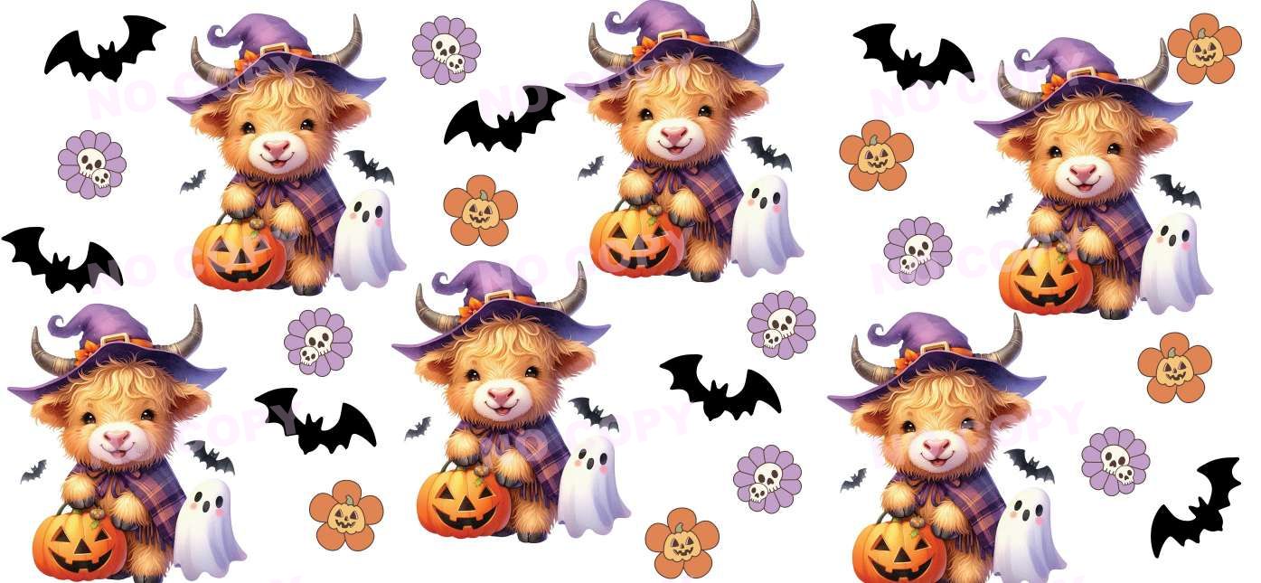 Y18562-Highland Cow