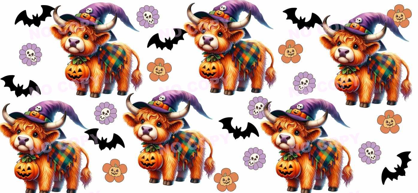 Y18565-Highland Cow